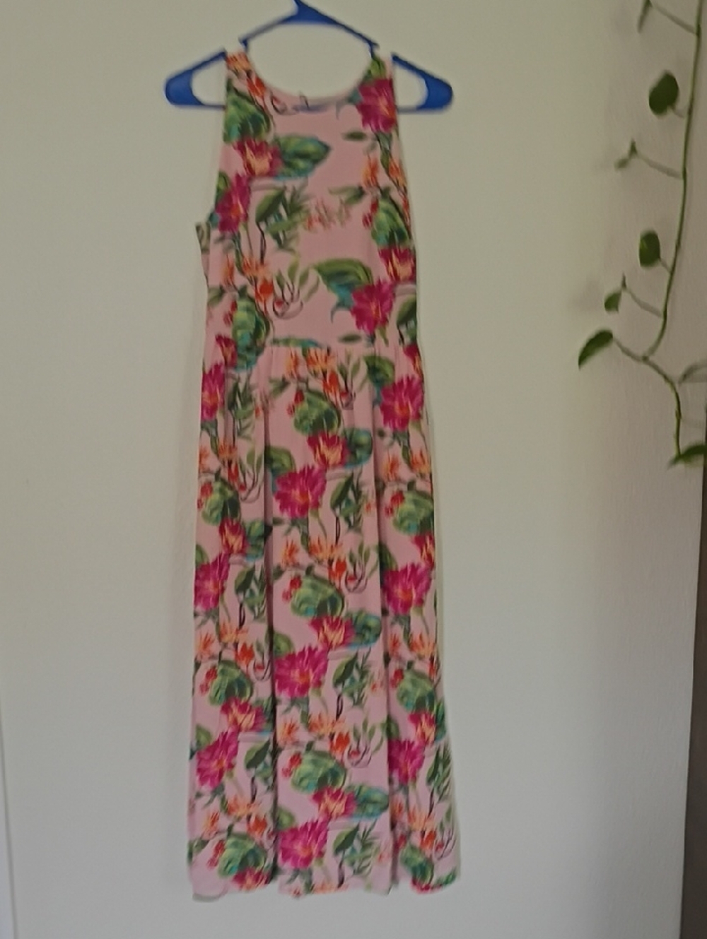 Umi Pink Floral Maxi Dress with Green Leaves